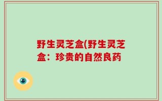 野生灵芝盒(野生灵芝盒：珍贵的自然良药