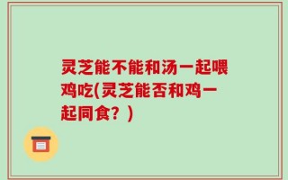 灵芝能不能和汤一起喂鸡吃(灵芝能否和鸡一起同食？)