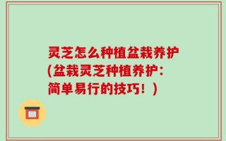 灵芝怎么种植盆栽养护(盆栽灵芝种植养护：简单易行的技巧！)
