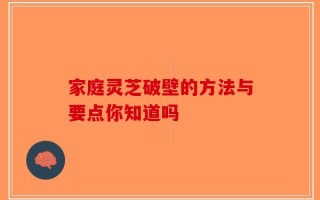 家庭灵芝破壁的方法与要点你知道吗