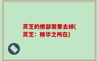 灵芝的根部需要去掉(灵芝：精华之所在)