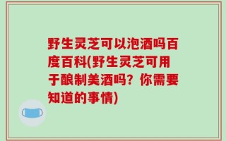 野生灵芝可以泡酒吗百度百科(野生灵芝可用于酿制美酒吗？你需要知道的事情)