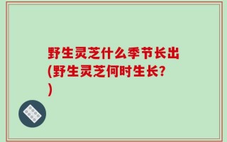 野生灵芝什么季节长出(野生灵芝何时生长？)