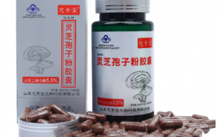 同仁堂灵芝孢子粉效果好不好?