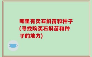 哪里有卖石斛苗和种子(寻找购买石斛苗和种子的地方)