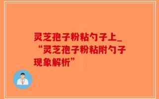 灵芝孢子粉粘勺子上_“灵芝孢子粉粘附勺子现象解析”