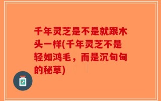 千年灵芝是不是就跟木头一样(千年灵芝不是轻如鸿毛，而是沉甸甸的秘草)