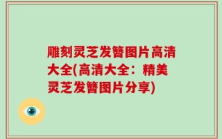 雕刻灵芝发簪图片高清大全(高清大全：精美灵芝发簪图片分享)