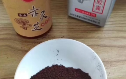 有支气管炎吃什么好呢？