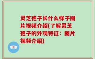 灵芝孢子长什么样子图片视频介绍(了解灵芝孢子的外观特征：图片视频介绍)