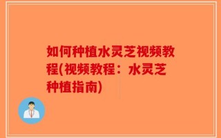 如何种植水灵芝视频教程(视频教程：水灵芝种植指南)