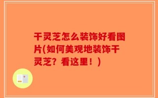 干灵芝怎么装饰好看图片(如何美观地装饰干灵芝？看这里！)