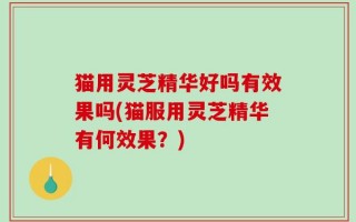 猫用灵芝精华好吗有效果吗(猫服用灵芝精华有何效果？)