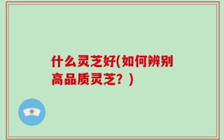 什么灵芝好(如何辨别高品质灵芝？)