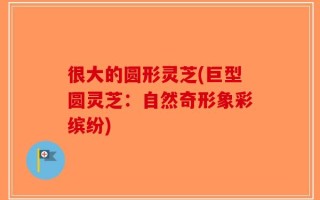 很大的圆形灵芝(巨型圆灵芝：自然奇形象彩缤纷)