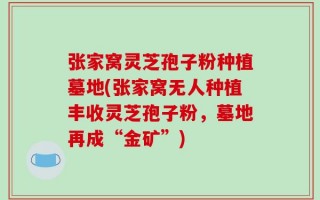 张家窝灵芝孢子粉种植墓地(张家窝无人种植丰收灵芝孢子粉，墓地再成“金矿”)