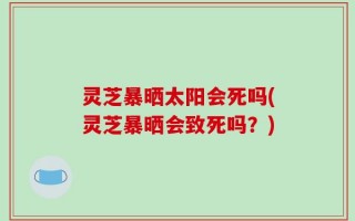 灵芝暴晒太阳会死吗(灵芝暴晒会致死吗？)