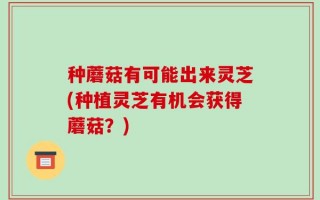 种蘑菇有可能出来灵芝(种植灵芝有机会获得蘑菇？)