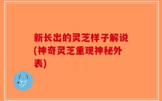 新长出的灵芝样子解说(神奇灵芝重现神秘外表)