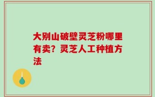 大别山破壁灵芝粉哪里有卖？灵芝人工种植方法