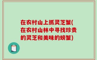 在农村山上抓灵芝蟹(在农村山林中寻找珍贵的灵芝和美味的螃蟹)