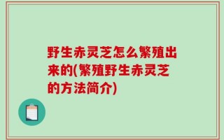 野生赤灵芝怎么繁殖出来的(繁殖野生赤灵芝的方法简介)