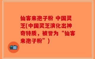 仙客来孢子粉 中国灵芝(中国灵芝演化出神奇特质，被誉为“仙客来孢子粉”)
