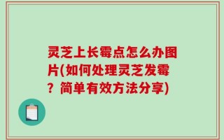 灵芝上长霉点怎么办图片(如何处理灵芝发霉？简单有效方法分享)