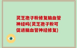 灵芝孢子粉修复脑血管神经吗(灵芝孢子粉可促进脑血管神经修复)