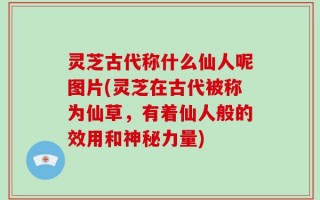灵芝古代称什么仙人呢图片(灵芝在古代被称为仙草，有着仙人般的效用和神秘力量)