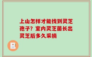 上山怎样才能找到灵芝孢子？室内灵芝菌长出灵芝后多久采摘
