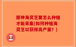 原神海灵芝要怎么种植才能采集(如何种植海灵芝以获得高产量？)