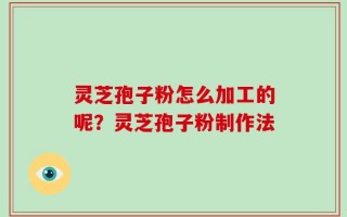 灵芝孢子粉怎么加工的呢？灵芝孢子粉制作法