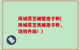 凤城灵芝破壁孢子粉(凤城灵芝壳破孢子粉，功效升级！)