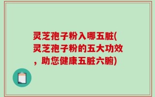 灵芝孢子粉入哪五脏(灵芝孢子粉的五大功效，助您健康五脏六腑)