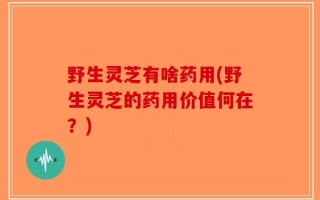 野生灵芝有啥药用(野生灵芝的药用价值何在？)