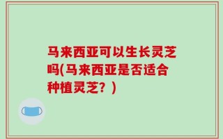马来西亚可以生长灵芝吗(马来西亚是否适合种植灵芝？)