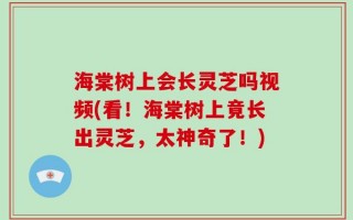 海棠树上会长灵芝吗视频(看！海棠树上竟长出灵芝，太神奇了！)