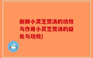 新鲜小灵芝煲汤的功效与作用小灵芝煲汤的益处与功效)