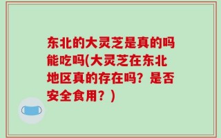 东北的大灵芝是真的吗能吃吗(大灵芝在东北地区真的存在吗？是否安全食用？)