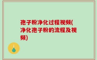 孢子粉净化过程视频(净化孢子粉的流程及视频)