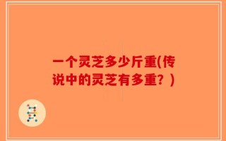 一个灵芝多少斤重(传说中的灵芝有多重？)