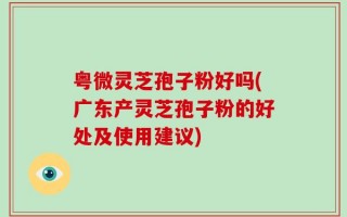 粤微灵芝孢子粉好吗(广东产灵芝孢子粉的好处及使用建议)