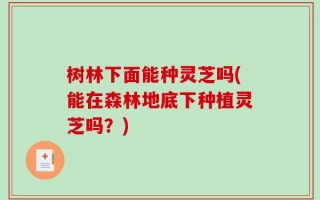 树林下面能种灵芝吗(能在森林地底下种植灵芝吗？)