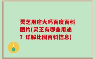 灵芝用途大吗百度百科图片(灵芝有哪些用途？详解比图百科信息)
