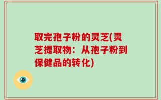 取完孢子粉的灵芝(灵芝提取物：从孢子粉到保健品的转化)