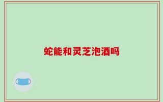 蛇能和灵芝泡酒吗