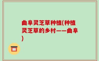 曲阜灵芝草种植(种植灵芝草的乡村——曲阜)