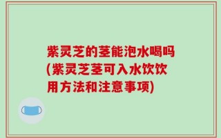 紫灵芝的茎能泡水喝吗(紫灵芝茎可入水饮饮用方法和注意事项)