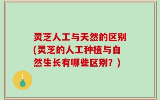 灵芝人工与天然的区别(灵芝的人工种植与自然生长有哪些区别？)